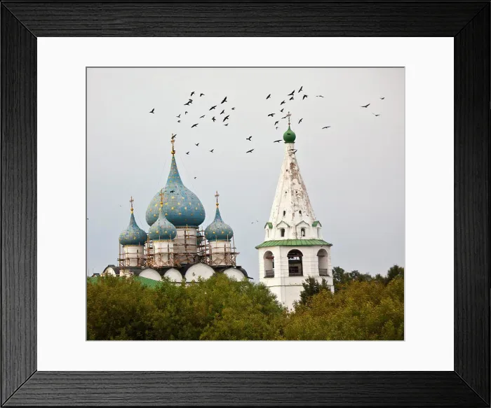 Framed Print : Birds flying over the Kremlin and church, Suzdal, Russia
