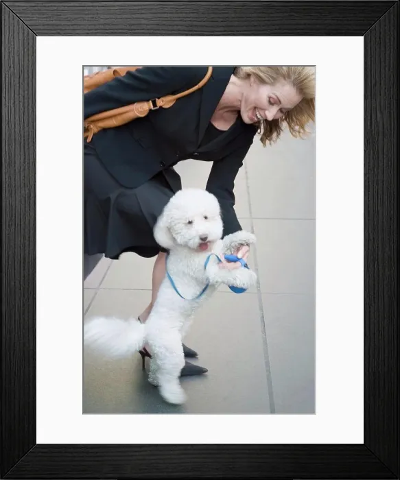Framed Print : Woman playing with dog on sidewalk Framed Print : Woman playing with dog on sidewalk