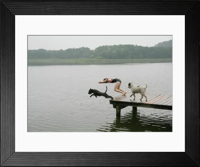 Framed Print : Girl and pet dogs diving into lake from dock Framed Print : Girl and pet dogs diving into lake from dock
