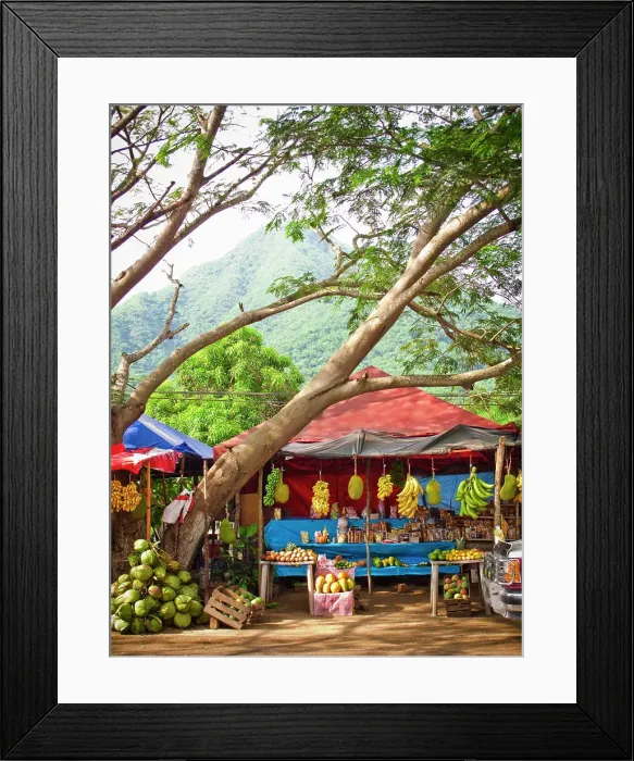 Framed Print : fruit stand in manzanillo, colima, mexico Framed Print : fruit stand in manzanillo, colima, mexico