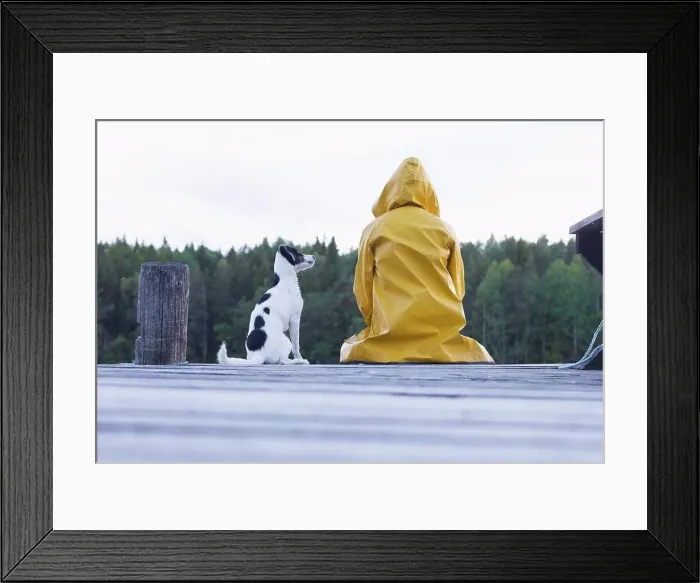 Framed Print : Rear view of woman wearing yellow raincoat sitting with dog on jetty at forest