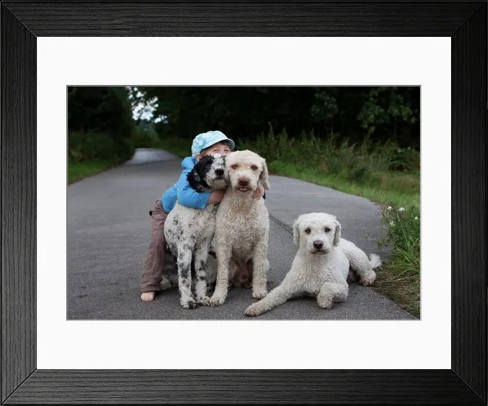 Framed Print : Portrait cute girl hugging dogs on rural road Framed Print : Portrait cute girl hugging dogs on rural road