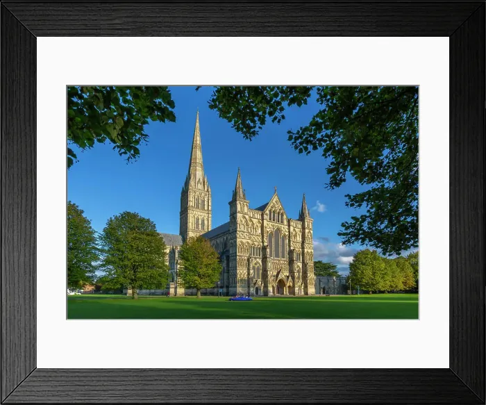 Framed Print : View of Salisbury Cathedral framed by trees, Salisbury, Wiltshire, England, United Kingdom, Europe