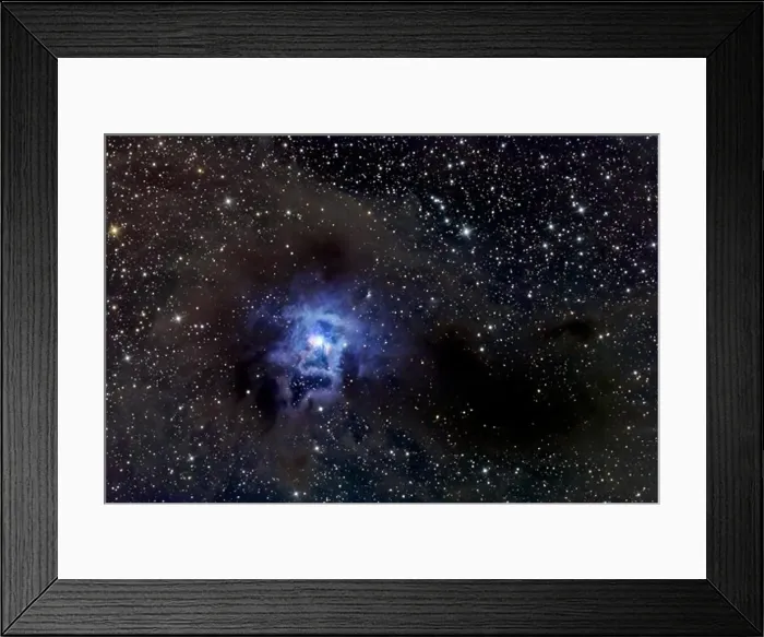 Framed Print : The Iris Nebula, also known as NGC 7023 and Caldwell 4 Framed Print : The Iris Nebula, also known as NGC 7023 and Caldwell 4