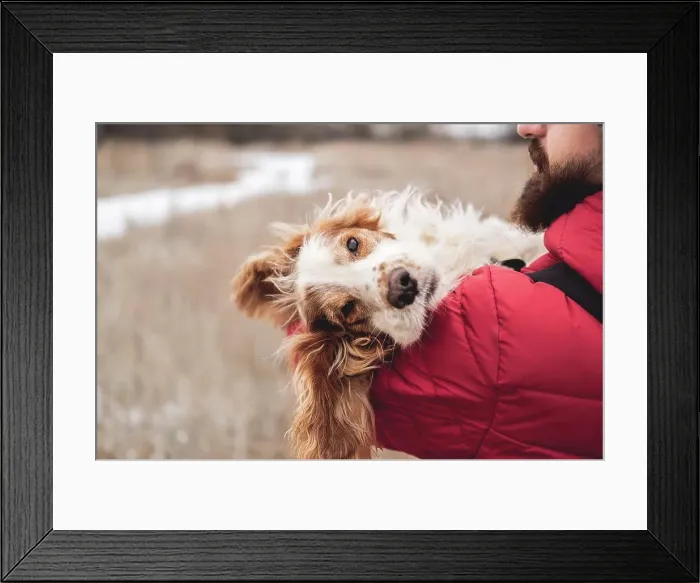 Framed Print : Cute dog chilling in the hands of man, winter scene