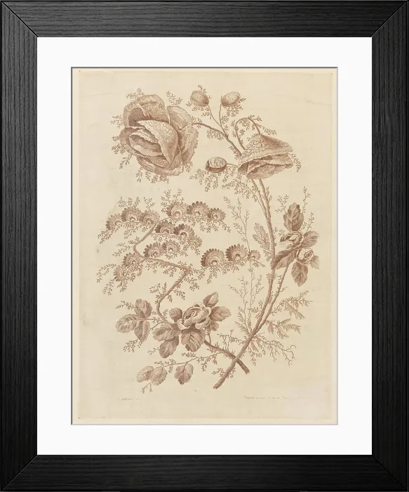 Framed Print : Flower Bough, from Cahier de Fleurs Singuliers Framed Print : Flower Bough, from Cahier de Fleurs Singuliers