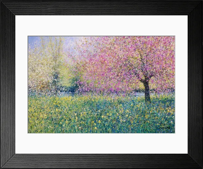 Framed Print : The Lower Lawn, Byfleet Manor-Spring Morning, April 2004 Charles Neal (b.1951 / British) Oil on canvas Framed Print : The Lower Lawn, Byfleet Manor-Spring Morning, April 2004 Charles Neal (b.1951 / British) Oil on canvas