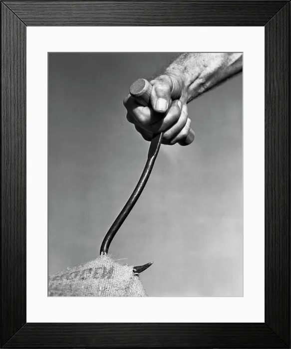 Framed Print : Close-up of a man's hand pulling a sack by a hook Framed Print : Close-up of a man's hand pulling a sack by a hook