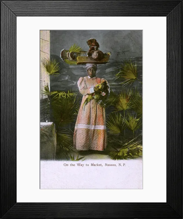 Framed Print : Nassau, Bahamas - Woman takes fowls to Market Framed Print : Nassau, Bahamas - Woman takes fowls to Market