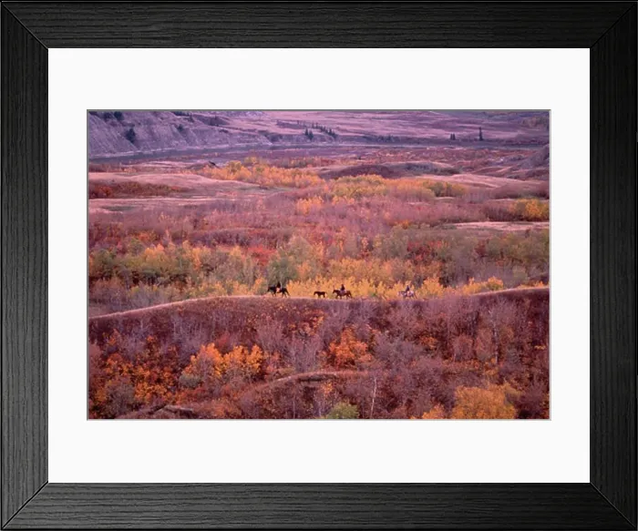 Framed Print : Trail Riding in Autumn, Dry Island Buffalo Jump Provincial Park, Alberta, Canada Framed Print : Trail Riding in Autumn, Dry Island Buffalo Jump Provincial Park, Alberta, Canada