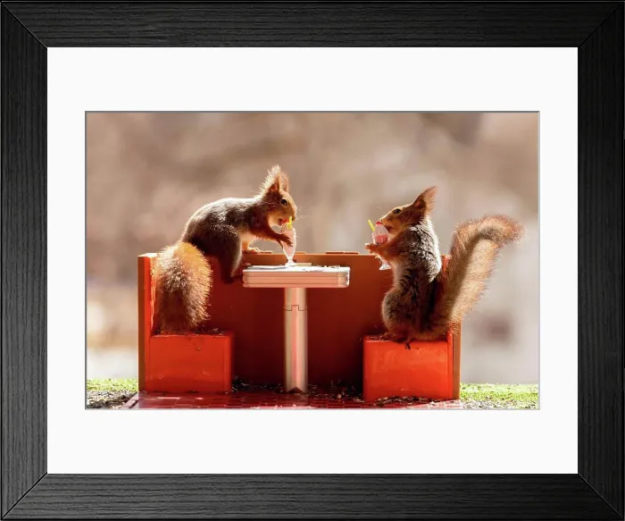 Framed Print : Red squirrels eating eating ice cream in a restaurant Framed Print : Red squirrels eating eating ice cream in a restaurant