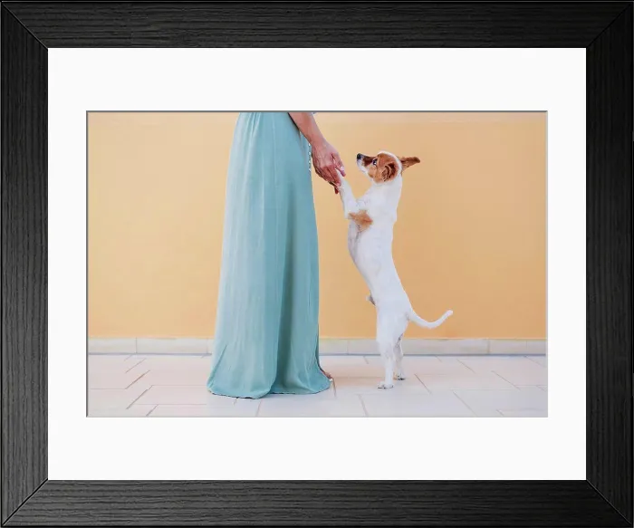 Framed Print : Woman holding dog legs while standing on sidewalk by wall Framed Print : Woman holding dog legs while standing on sidewalk by wall