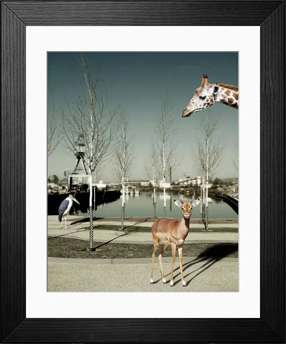 Framed Print : Wild animals in the city, Composite Framed Print : Wild animals in the city, Composite