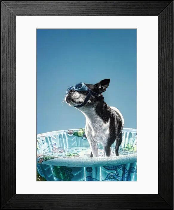 Framed Print : Dog In Pool