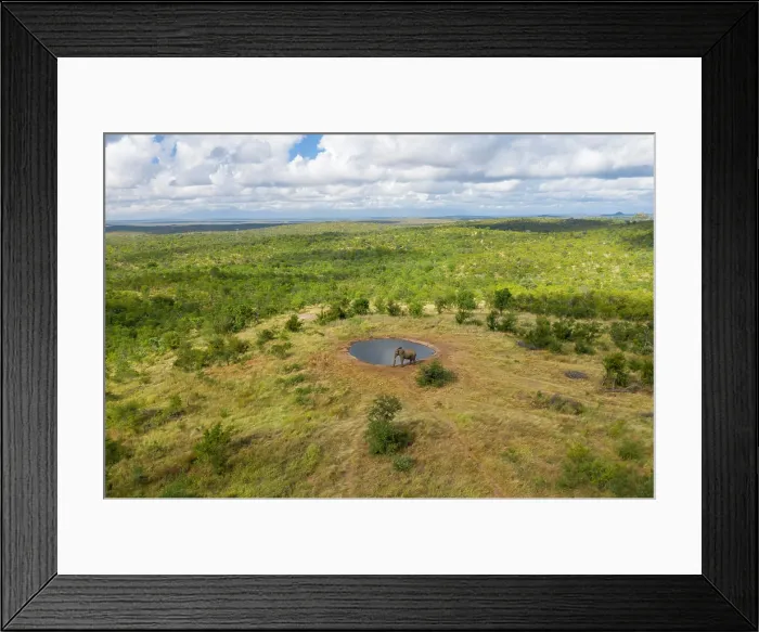 Framed Print : Aerial View of an elephant near a lake at Balule Nature Reserve, Maruleng NU, Limpopo, South Africa Framed Print : Aerial View of an elephant near a lake at Balule Nature Reserve, Maruleng NU, Limpopo, South Africa