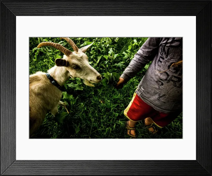 Framed Print : FRA - BRITTANY - AN AUTONOMOUS COMMUNITY IN CENTRAL BRETAGNEIn the remote countryside of central Brittany