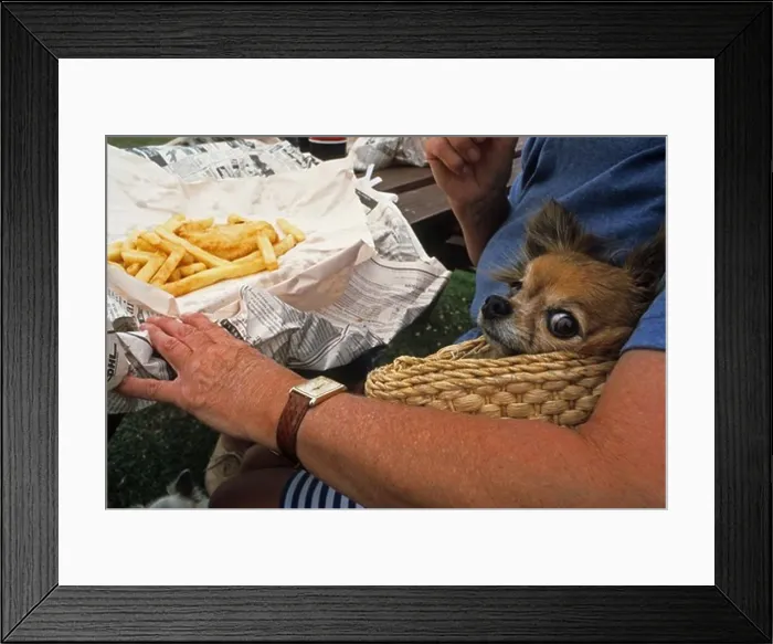 Framed Print : Woman and dog eating fish and chips outside, Coromandel Peninsula, North Island, New Zealand, Oceania