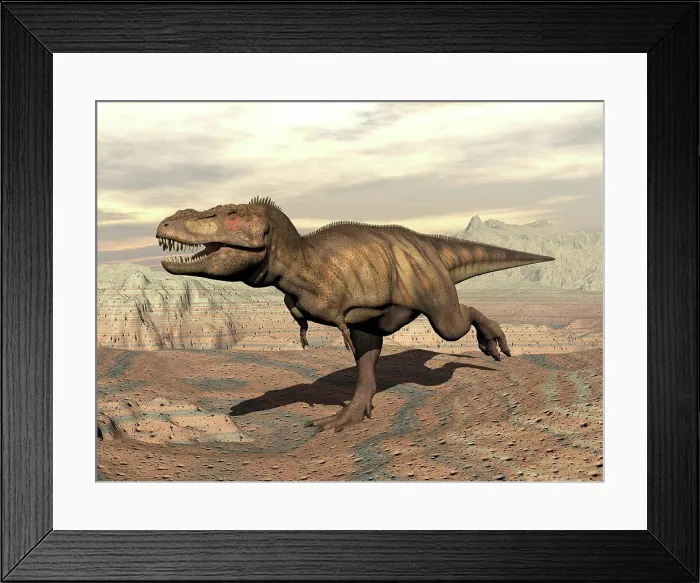 Framed Print : Tyrannosaurus Rex dinosaur running across rocky terrain Framed Print : Tyrannosaurus Rex dinosaur running across rocky terrain