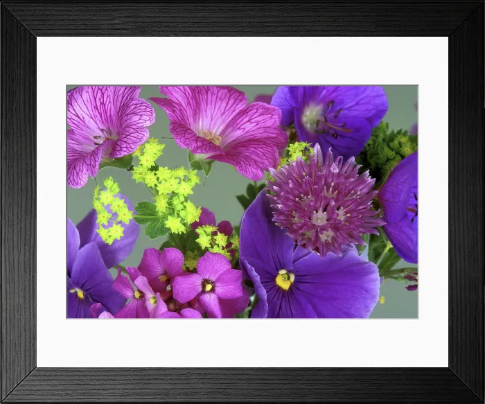 Framed Print : Close-up of flowers