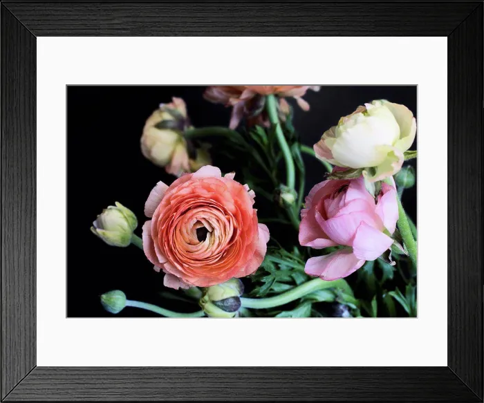 Framed Print : Close up of blooming flowers Framed Print : Close up of blooming flowers