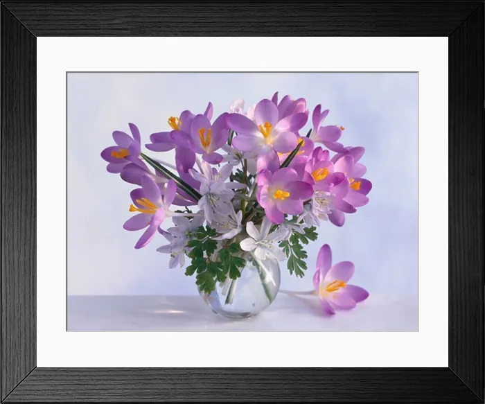 Framed Print : Close-up of colorful flower arrangement Framed Print : Close-up of colorful flower arrangement