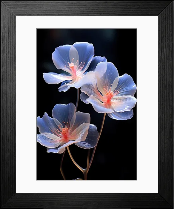 Framed Print : Bright flowers on a stem close-up, isolated on black. Generative AI Framed Print : Bright flowers on a stem close-up, isolated on black. Generative AI