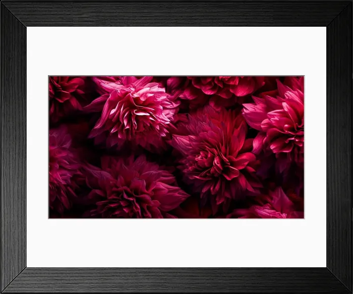 Framed Print : A close up of a bunch of red flowers with a dark background Framed Print : A close up of a bunch of red flowers with a dark background