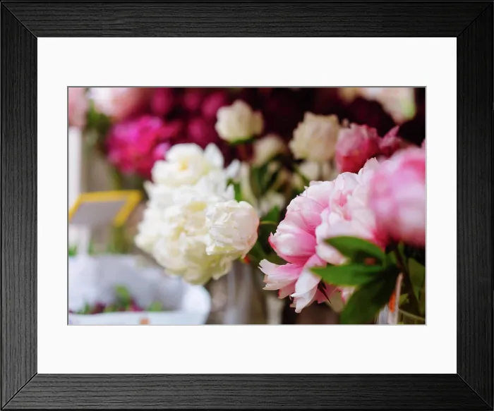 Framed Print : Lot of peonies, close up. Lot of peonies Framed Print : Lot of peonies, close up. Lot of peonies