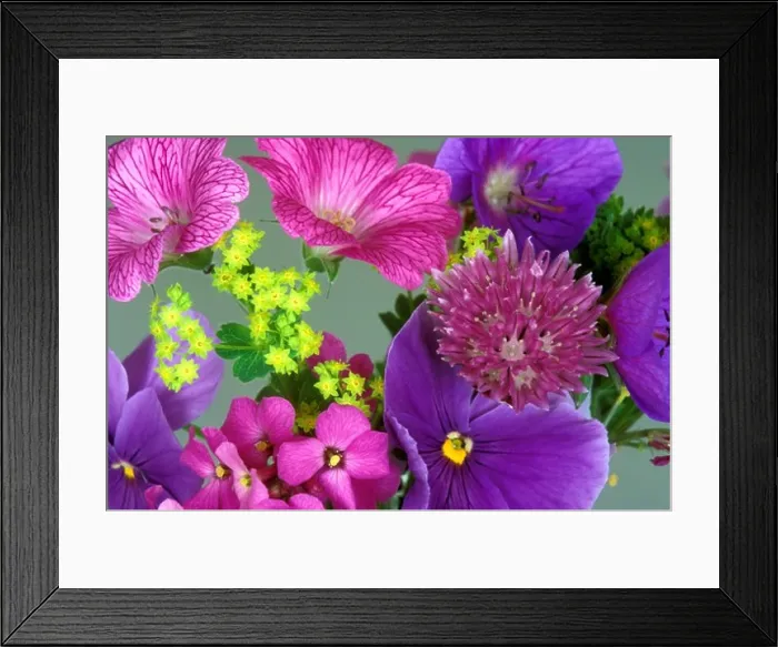 Framed Print : Close-up of flowers Framed Print : Close-up of flowers