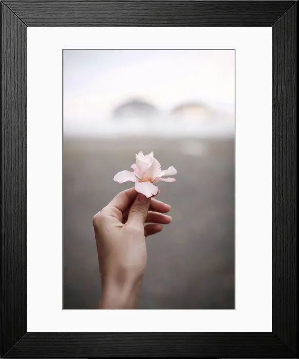 Framed Print : Close-up of woman's hand holding oleander flower