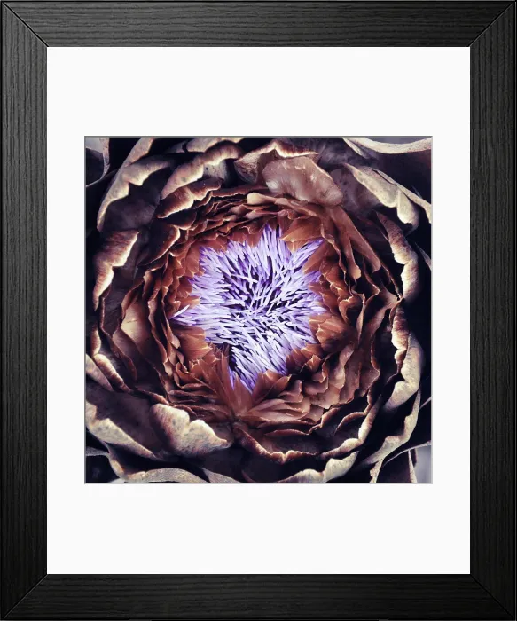 Framed Print : Extreme close up of flower Framed Print : Extreme close up of flower
