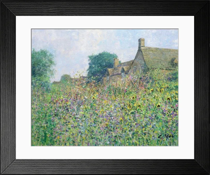 Framed Print : Allotments At South Cerney, Gloucestershire. Evening August. Charles Neal (b.1951 British) Oil On Canvas Framed Print : Allotments At South Cerney, Gloucestershire. Evening August. Charles Neal (b.1951 British) Oil On Canvas