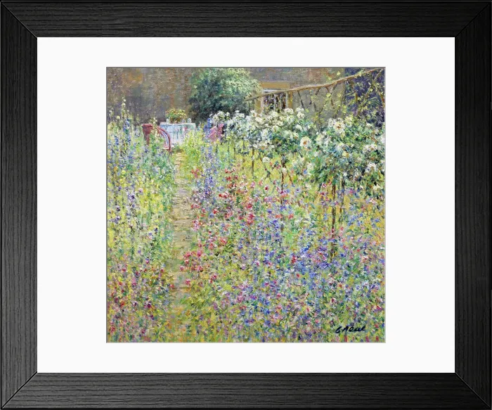 Framed Print : Rose Standards At Lock Farm, Buscot Framed Print : Rose Standards At Lock Farm, Buscot