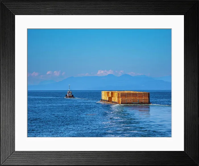 Framed Print : A tugboat tows a barge loaded with lumber near Vancouver Island Framed Print : A tugboat tows a barge loaded with lumber near Vancouver Island