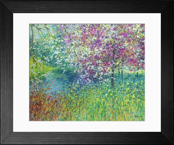 Framed Print : Spring garden scene with blossom and daffodlils Framed Print : Spring garden scene with blossom and daffodlils