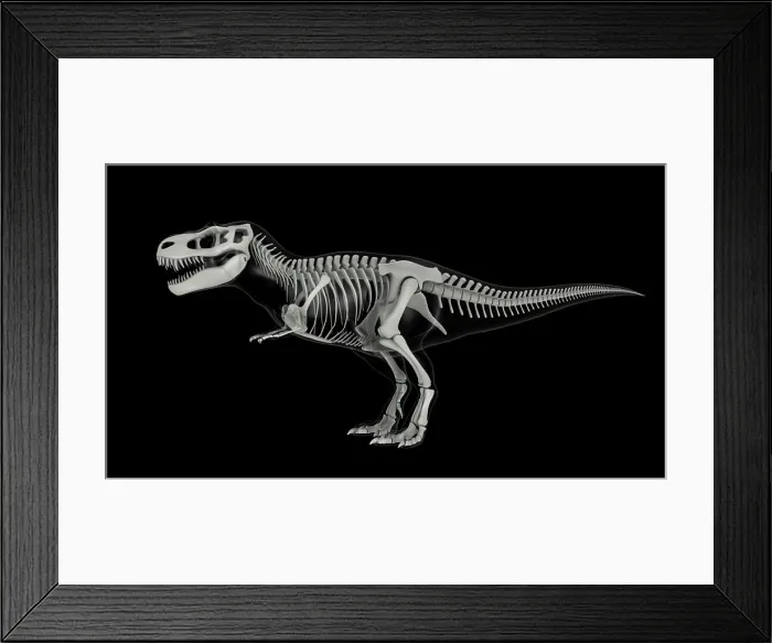 Framed Print : Skeletal system of Tyrannosaurus rex, side view