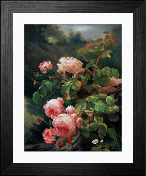 Framed Print : Still Life of Pink Roses Alexandre Debrus (1843-1905) Framed Print : Still Life of Pink Roses Alexandre Debrus (1843-1905)