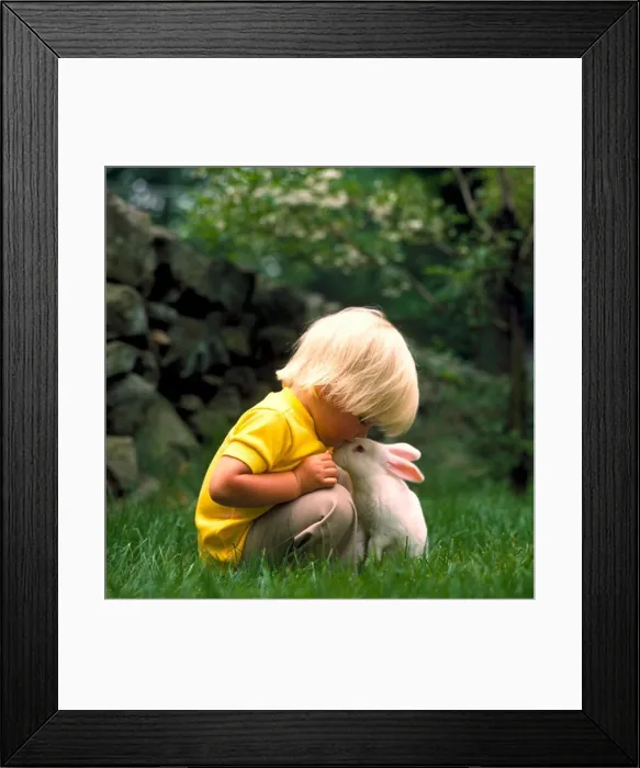 Framed Print : Little, blonde boy kneeling down over and kissing a white bunny rabbit on its nose while in the grass Framed Print : Little, blonde boy kneeling down over and kissing a white bunny rabbit on its nose while in the grass