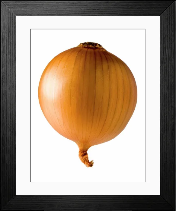 Framed Print : onion Framed Print : onion