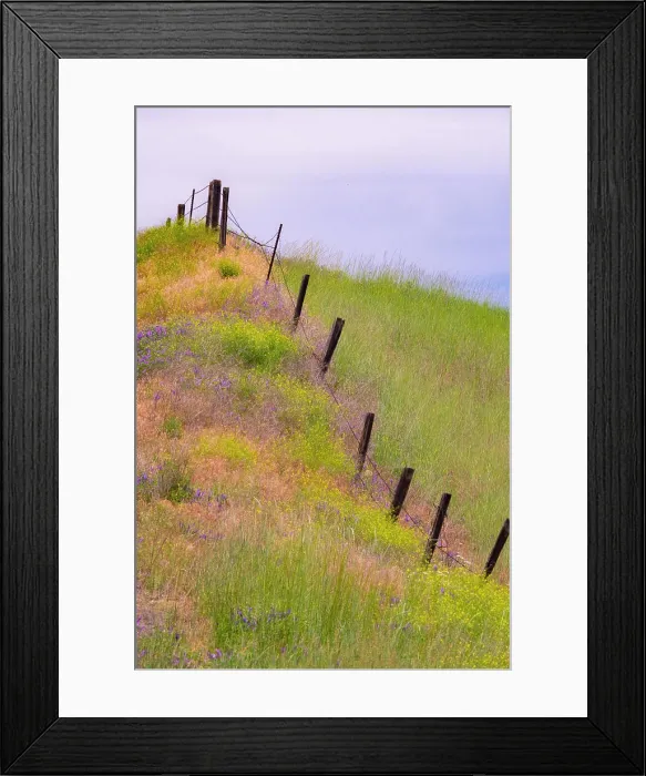 Framed Print : USA, Washington State, Palouse fence line near Winona with vetch and grasses Framed Print : USA, Washington State, Palouse fence line near Winona with vetch and grasses