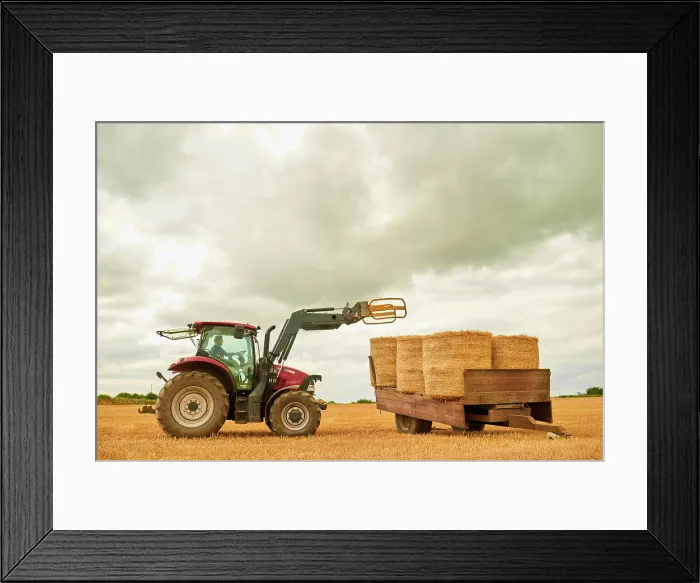 Framed Print : Hay, countryside and a tractor on a farm for sustainability outdoor on an open field during the harvest season