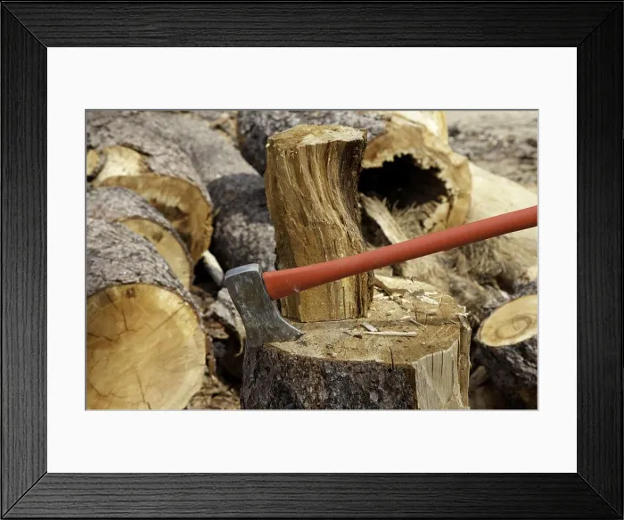 Framed Print : An axe wedged into a tree stump Framed Print : An axe wedged into a tree stump