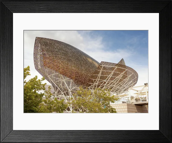 Framed Print : Frank Gehry's bronze fish sculpture, Port Olimpic, Barcelona, Spain Framed Print : Frank Gehry's bronze fish sculpture, Port Olimpic, Barcelona, Spain