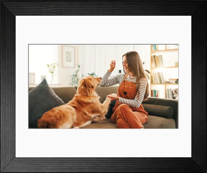 Framed Print : Care, training or happy woman on couch with dog