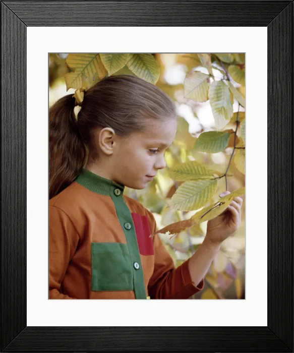 Framed Print : 1960s GIRL WITH PONY TAIL ORANGE SHIRT GREEN POCKET LOOKING AT AUTUMN LEAF