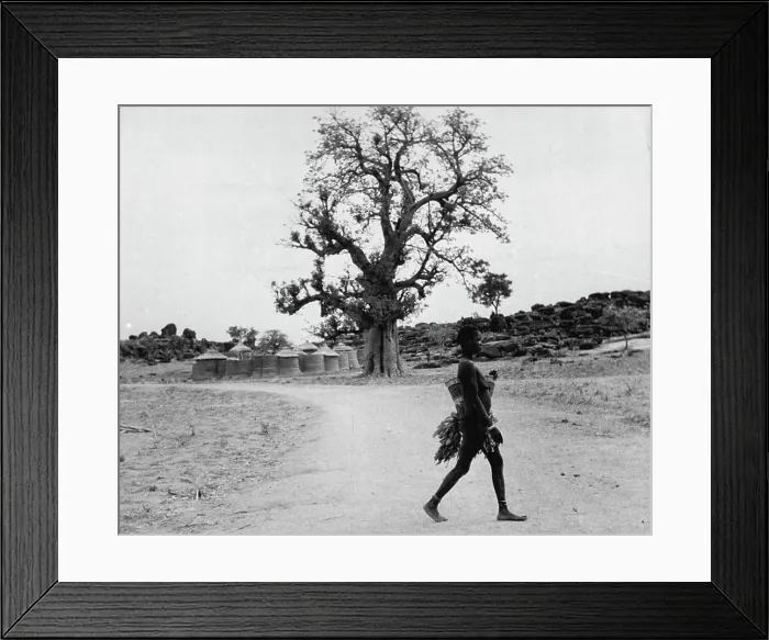 Framed Print : The Furafura Pagans Of The Gold Coast (Northern Territories) -- A Furafura woman crosses the road
