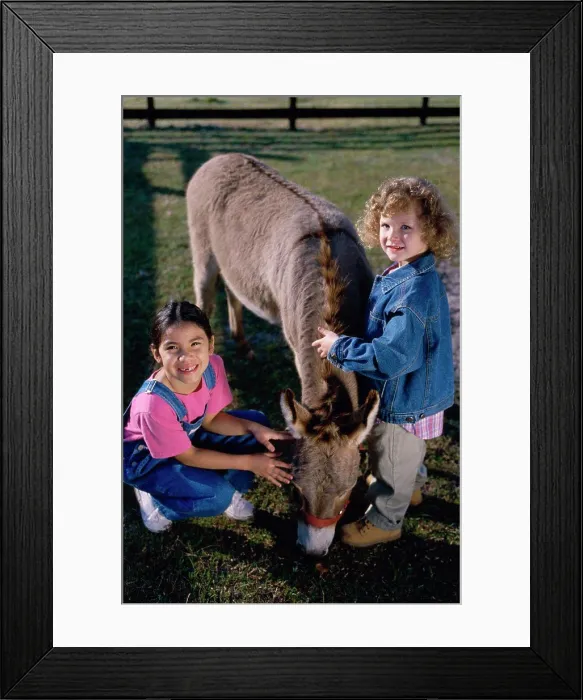 Framed Print : Portrait of two girls petting a donkey Framed Print : Portrait of two girls petting a donkey