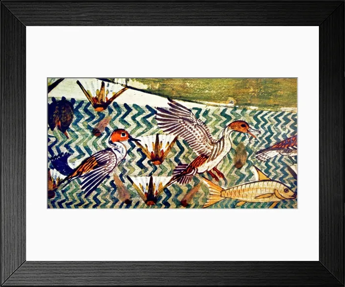 Framed Print : Fresco depicting a bird scene from an ancient Egyptian tomb. Dated 13th Century BC Framed Print : Fresco depicting a bird scene from an ancient Egyptian tomb. Dated 13th Century BC