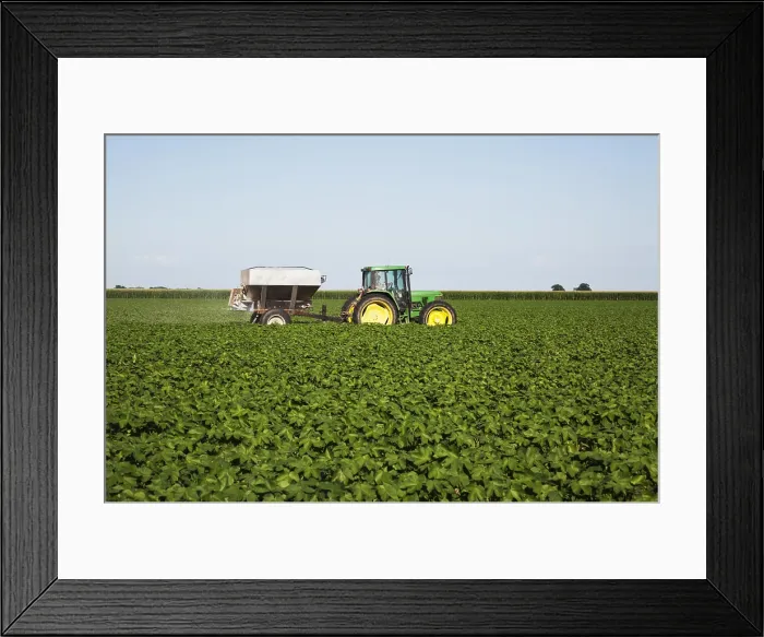 Framed Print : Tractor-Pulled Bulk Fertilizer Application Broadcasting Urea Fertilizer (Source Of Nitrogen)