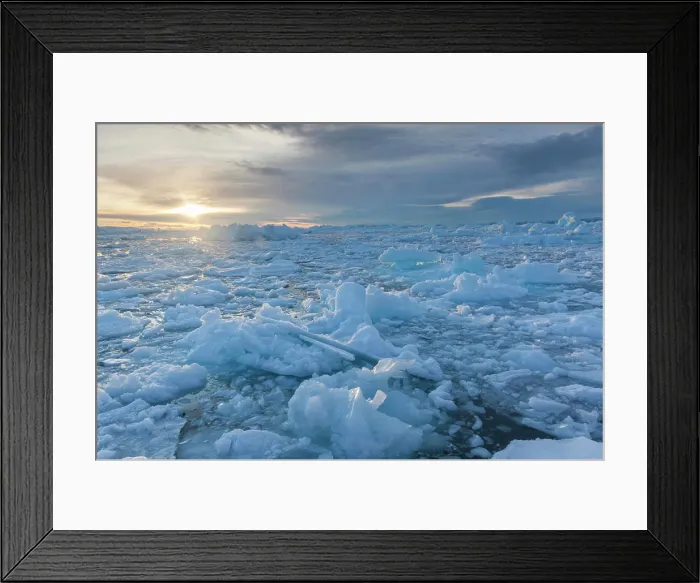 Framed Print : Greenland, Disko Bay, Ilulissat, floating ice at sunset Framed Print : Greenland, Disko Bay, Ilulissat, floating ice at sunset
